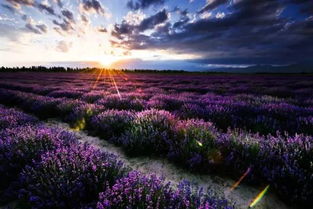 逃離長沙的鬼天氣 7月份中國最美的風(fēng)光都在這啦