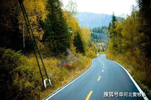 新疆喀納斯風景區是怎么做到保護環境與觀賞性高兩不誤的