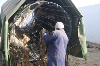 新疆沙雅縣:農(nóng)田殘膜回收發(fā)展生態(tài)環(huán)保綠色農(nóng)業(yè)