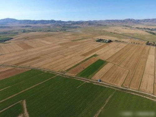 無人機鏡頭下的新疆環保 建設與發展中的生態保護