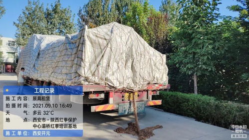 開元展覽 環保展具跨越山海，綠色理念扎根新疆